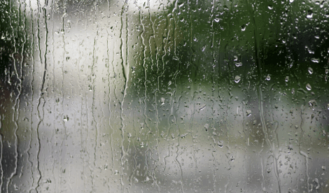 A window with rain drops and blurred green backdrop