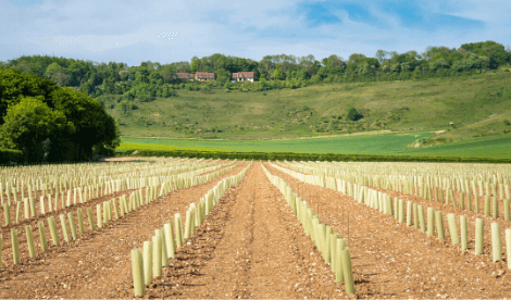 Ploughing field