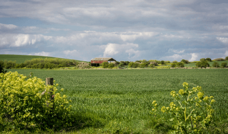 Kent countryside