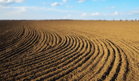 Ploughing field