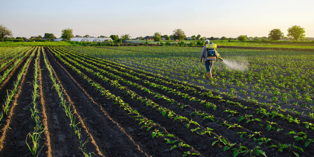 Nichino Europe Acquires Interagro | Kreston Reeves