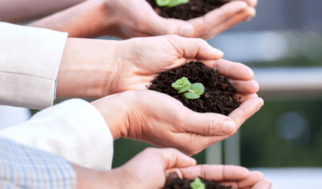 Up close photo of a pair of hands cupping a pile of soil with a green plant sprouting out of it.