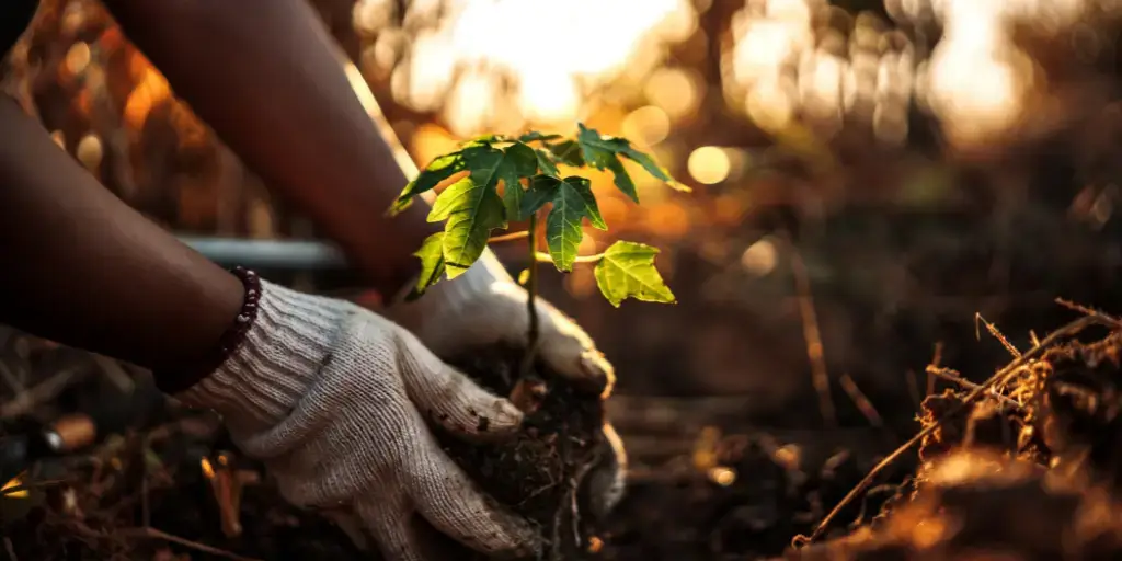 Find out more about our ESG efforts