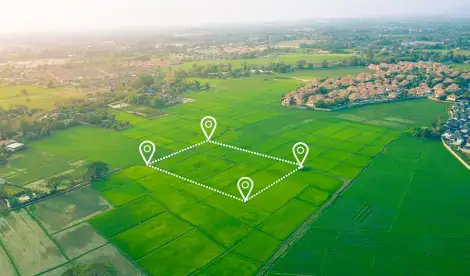 Find out more about The true value of land Planning, opportunities, and future tax changes