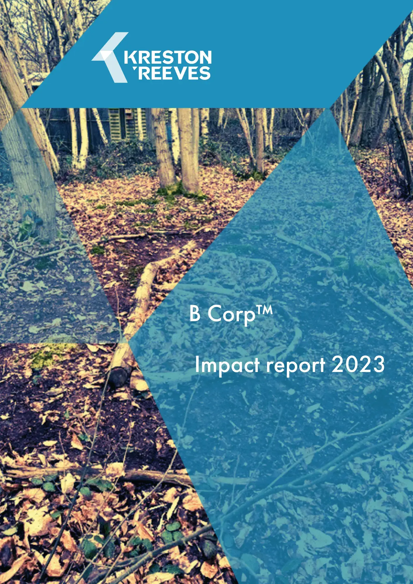 Explore the Kreston Reeves impact report 2023.