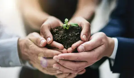 Find out more about the the green business of the year category Sussex Chamber Awards 2025