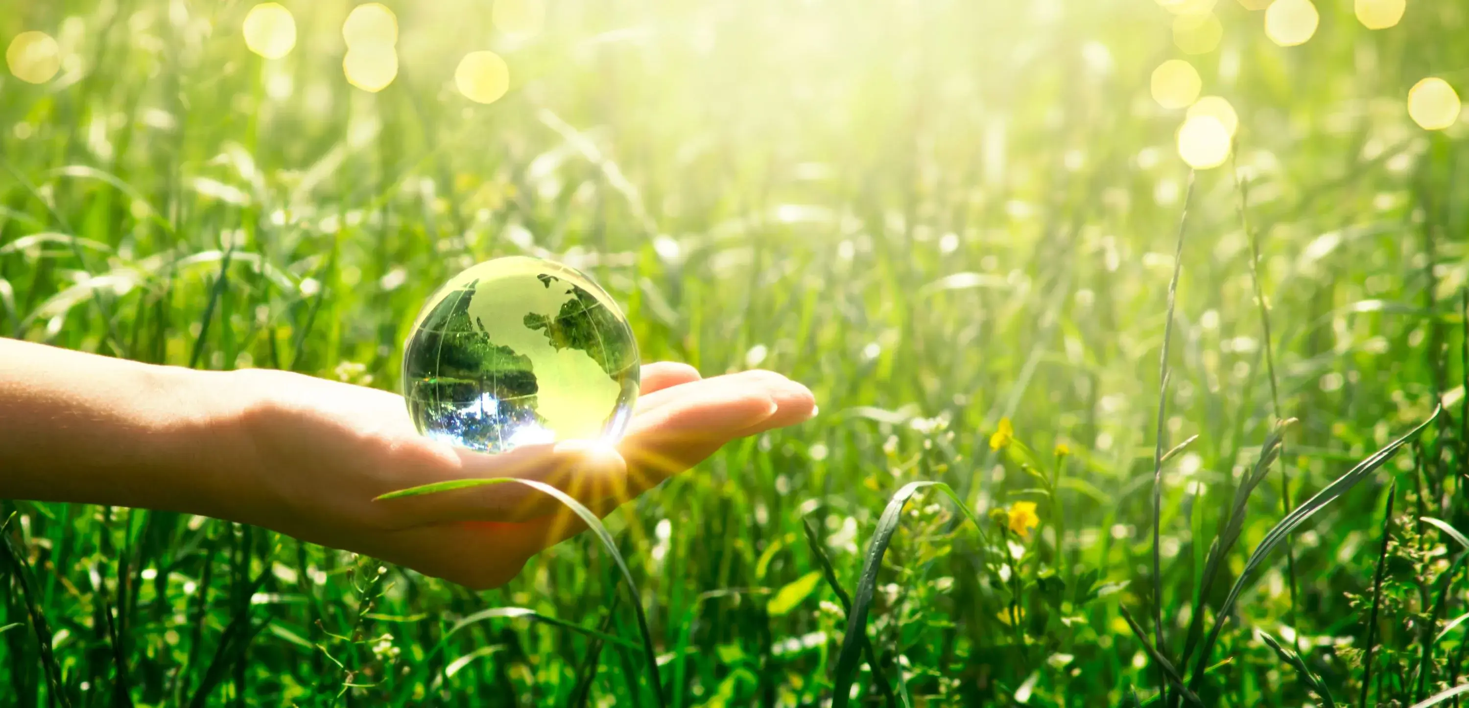 ESG advisory services in London, Kent and Sussex - Kreston Reeves