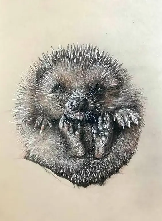 Dottie's Little Hog Hospital