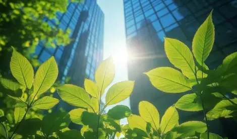 We have been nominated for best accountancy firm at the sustainable times RISE awards 2025