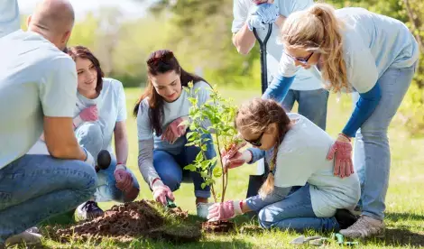 Charity Statement Of Recommended Practice (SORP) 2026 is coming. How will your charity’s ESG story evolve