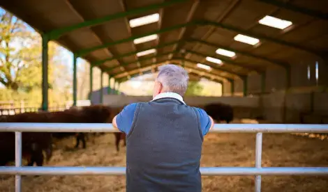 Inheritance tax reform 2026