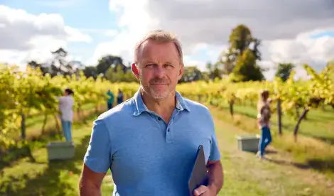 Viticulture and vineyard accountancy services and accountants - Kreston Reeves