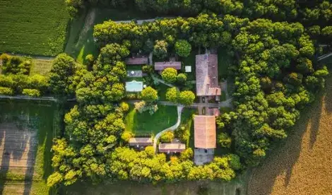 The future estate